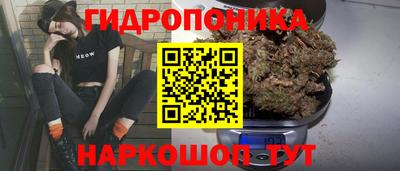 ГАЛЛЮЦИНОГЕННЫЕ ГРИБЫ Аргун