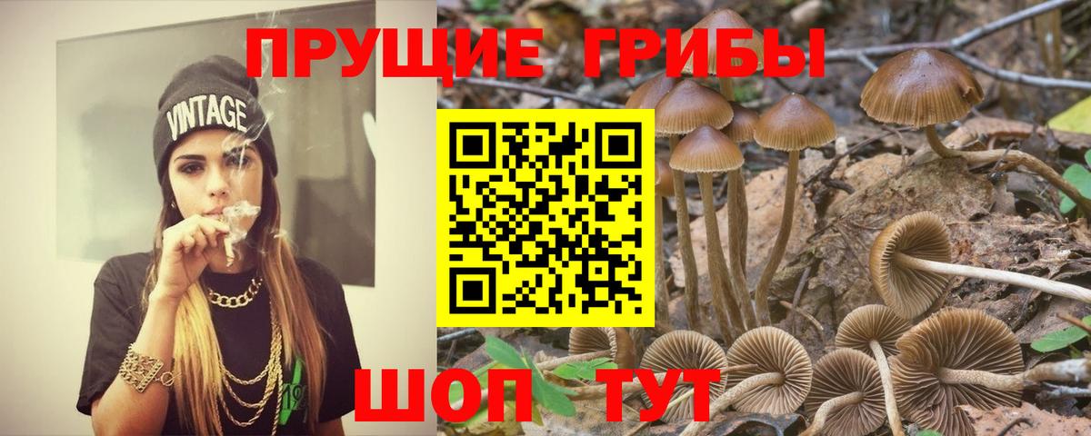 Галлюциногенные грибы мицелий Березники