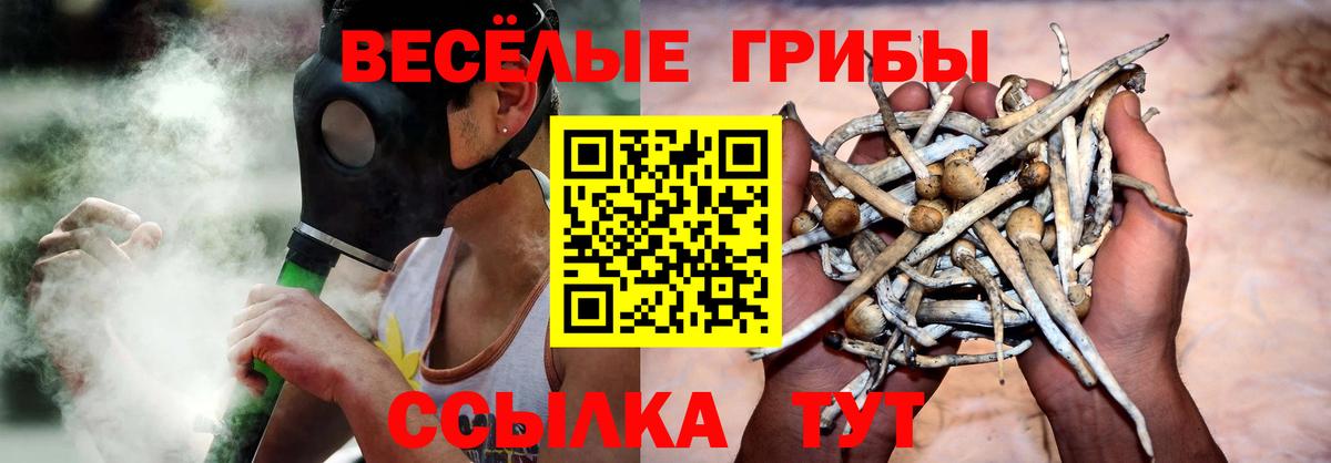 Березники  даркнет сайт  Вход с VPN  Галлюциногенные грибы ЛСД  Псилоцибиновые грибы Psilocybe 